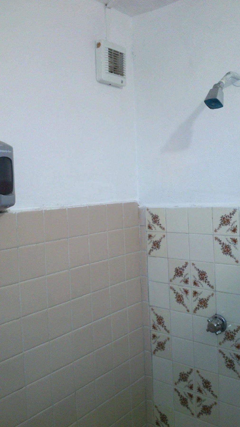 Amigos Hostel 코수멜 외부 사진