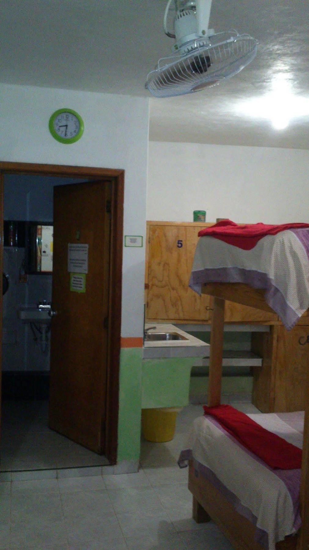 Amigos Hostel 코수멜 외부 사진