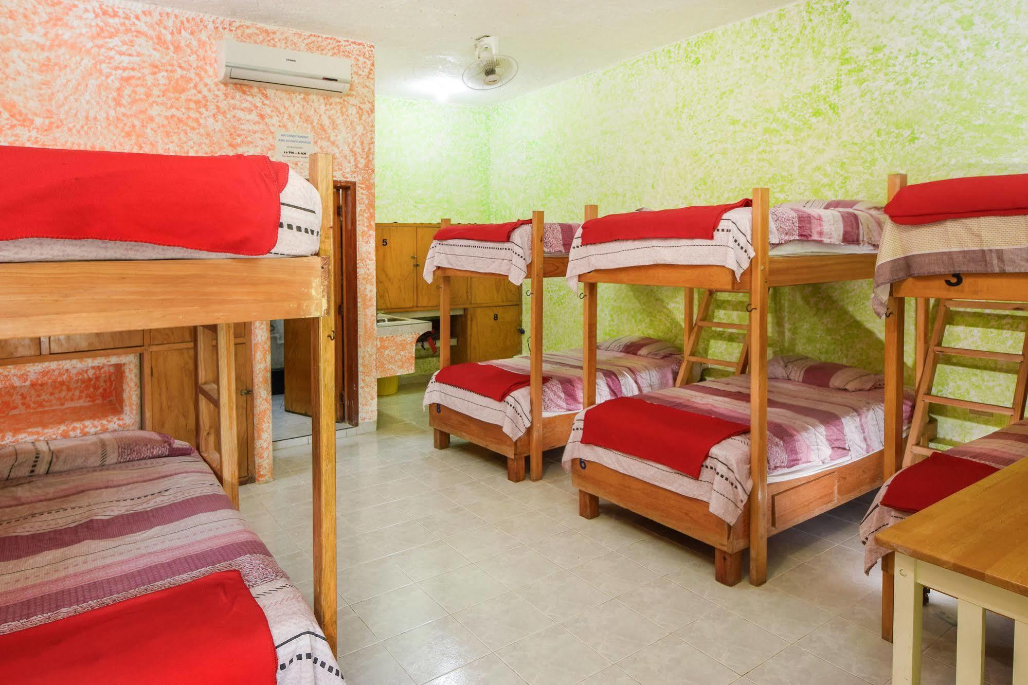 Amigos Hostel 코수멜 호스텔 침대 사진