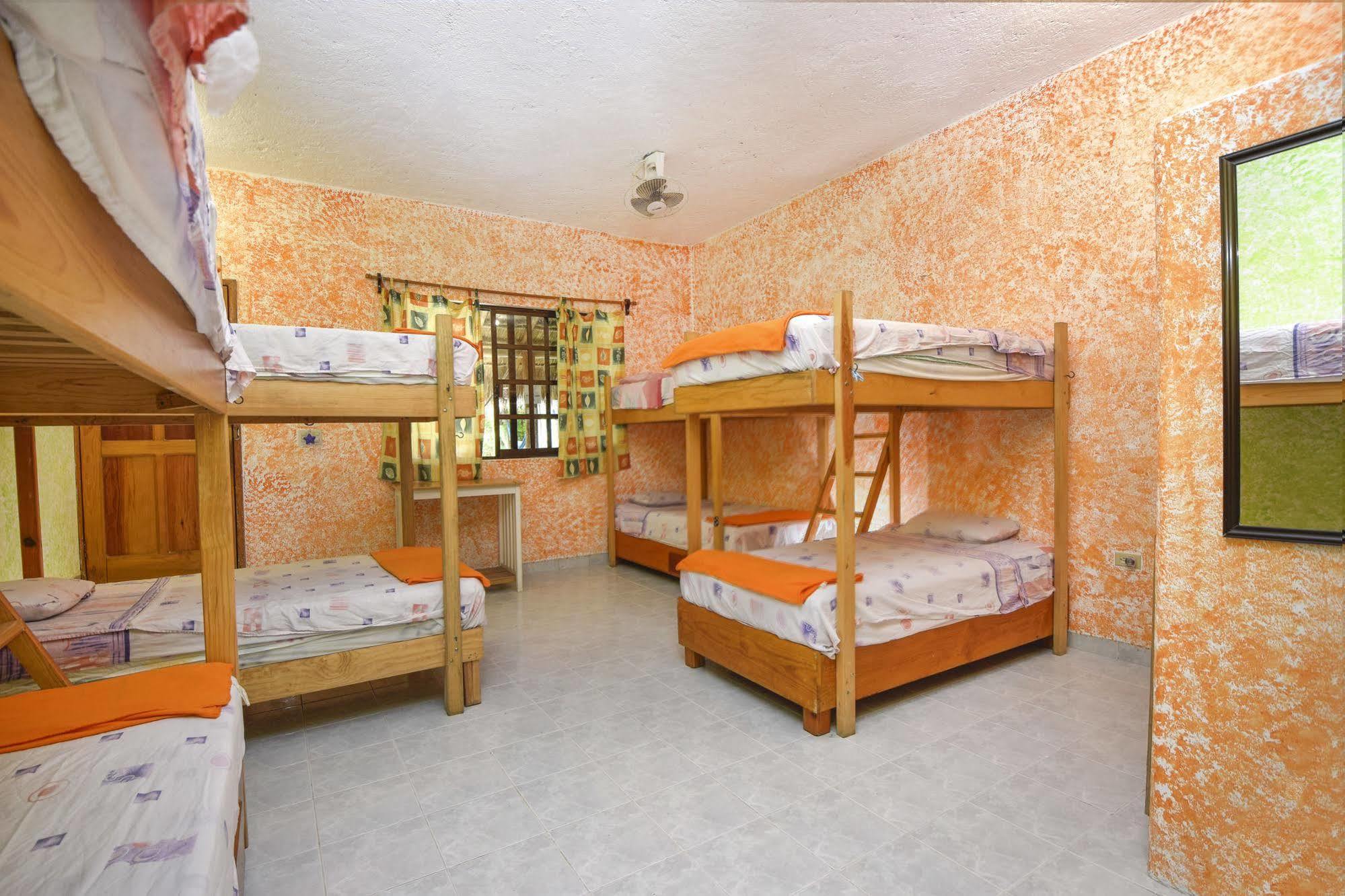 Amigos Hostel 코수멜 외부 사진