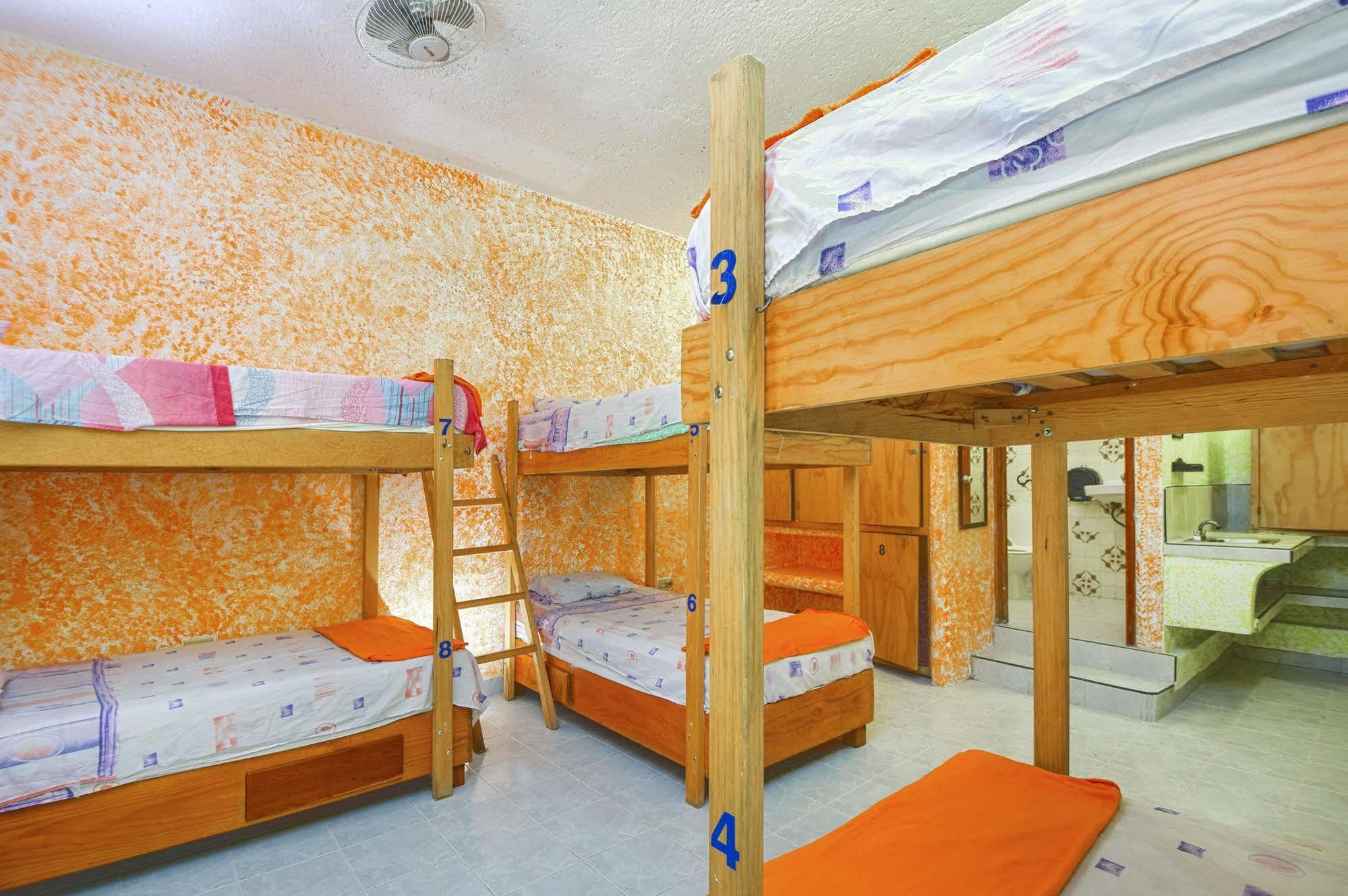 Amigos Hostel 코수멜 외부 사진