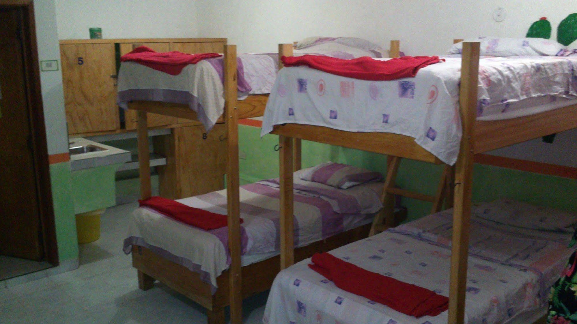 Amigos Hostel 코수멜 호스텔 침대 사진