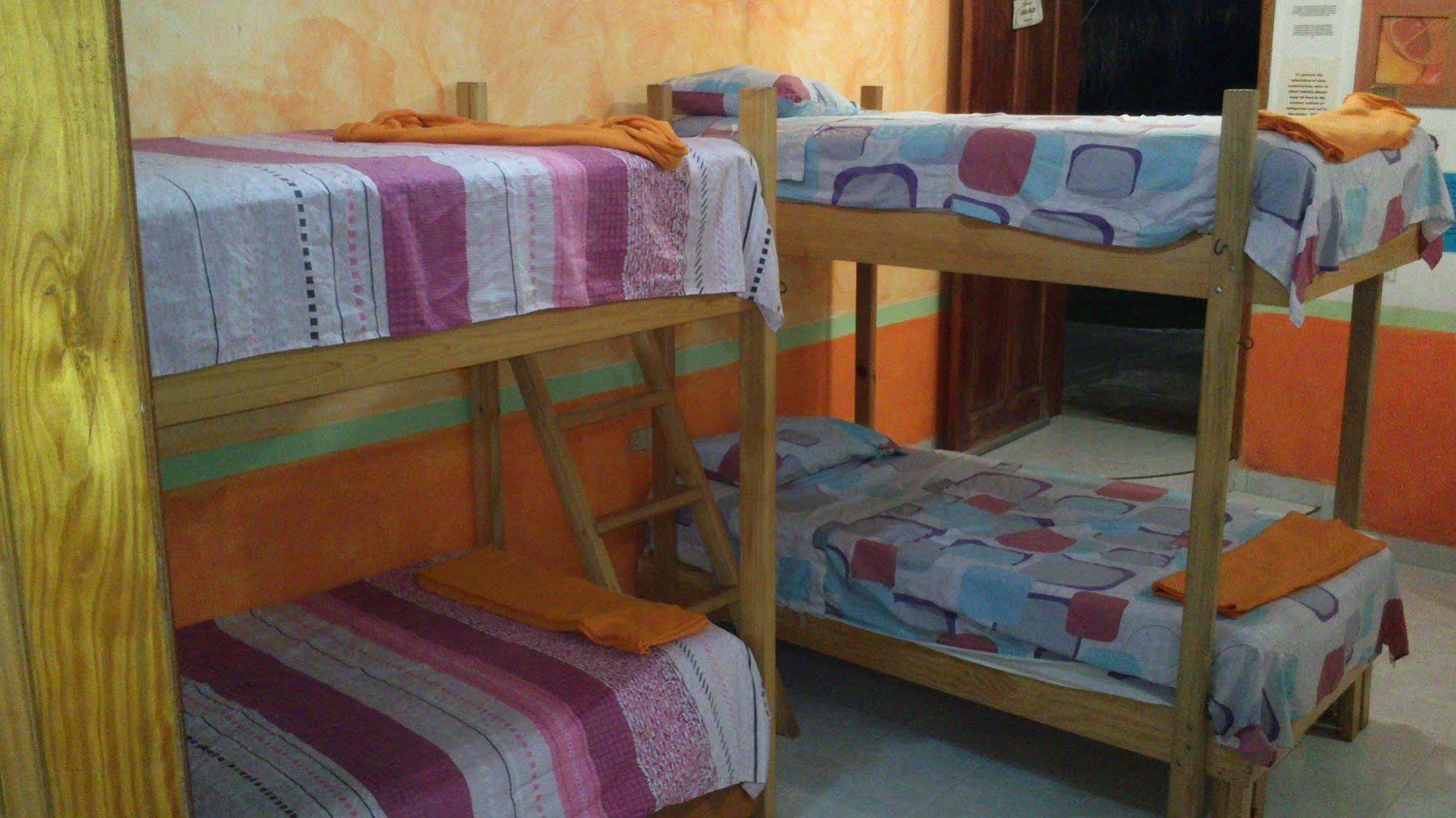 Amigos Hostel 코수멜 외부 사진