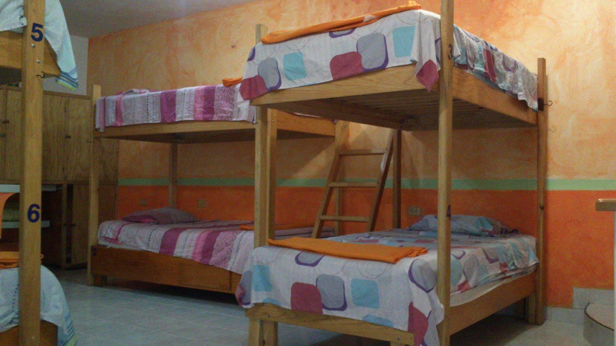 Amigos Hostel 코수멜 외부 사진