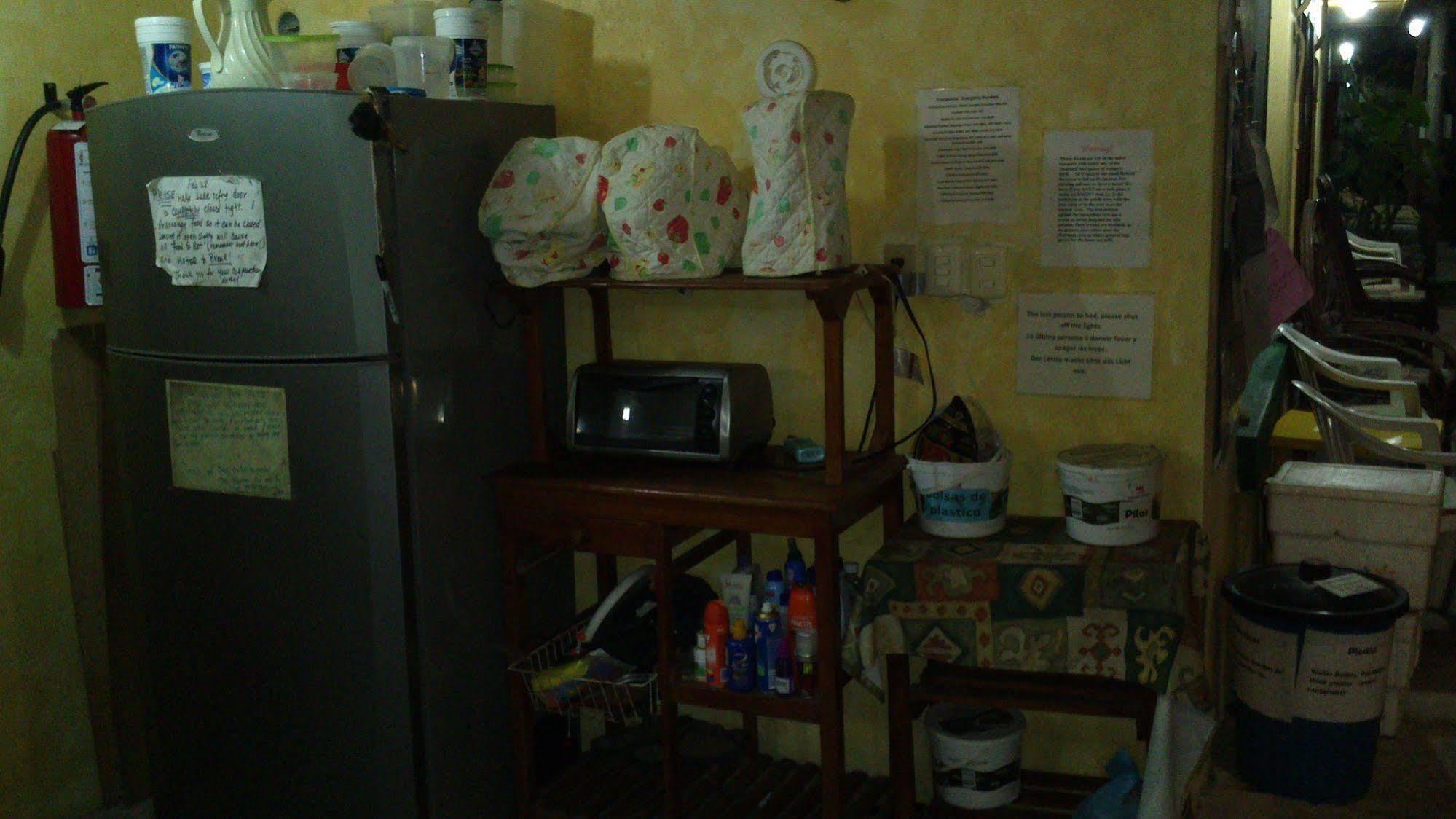 Amigos Hostel 코수멜 외부 사진