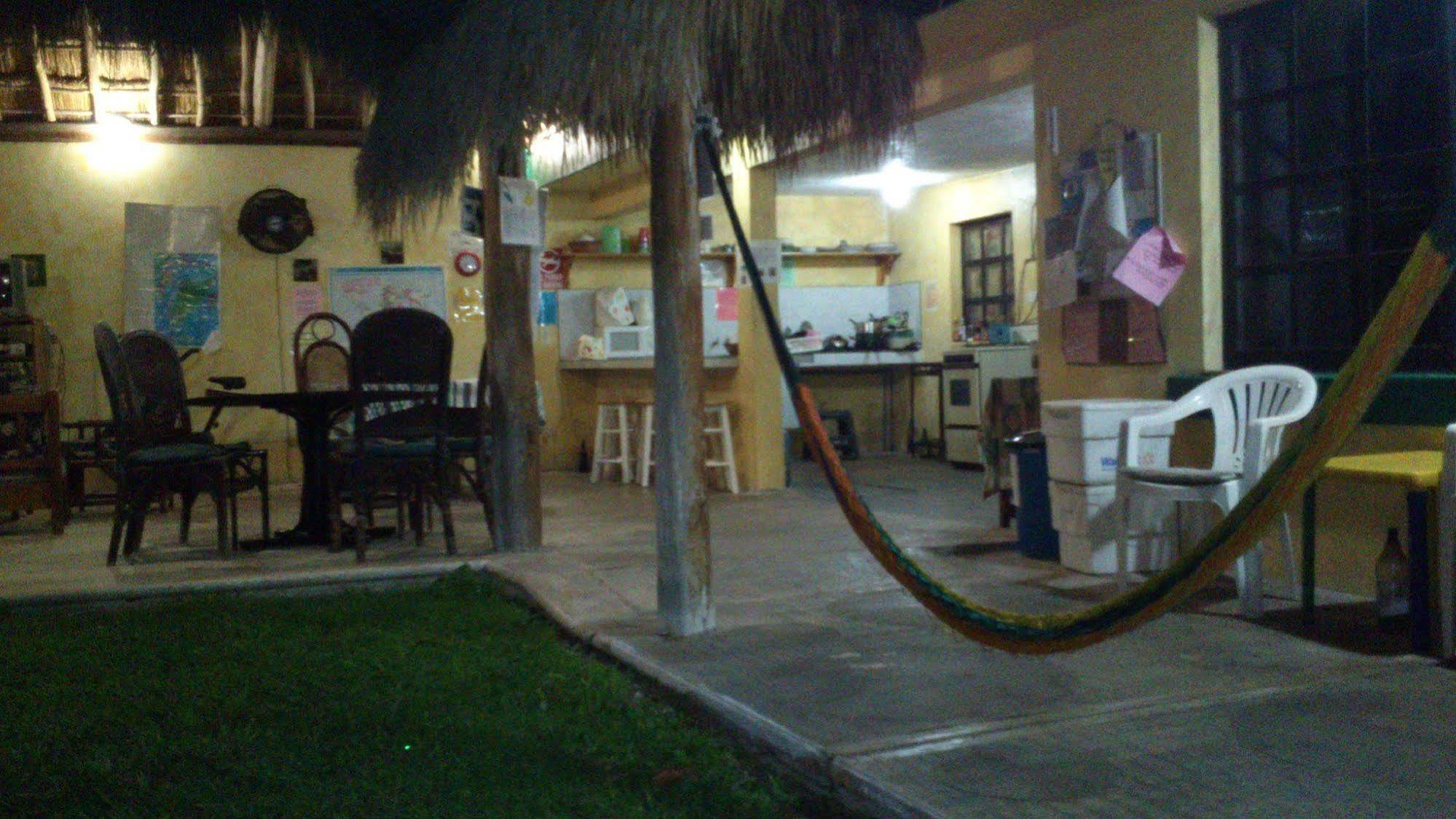 Amigos Hostel 코수멜 외부 사진